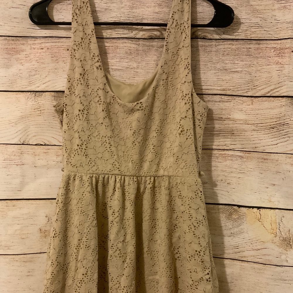 Spring Lace Skater Nude Dress Mini Fit and Flare